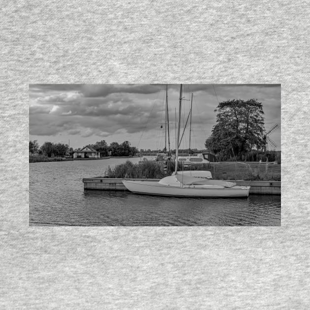 A view along the River Thurne in the Norfolk Broads National Park by yackers1